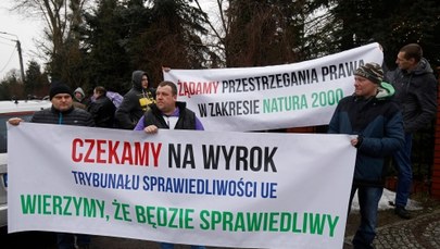 Decyzja UE ws. Puszczy Białowieskiej. "Inny wyrok niż ten negatywny dla Polski byłby zaskoczeniem"