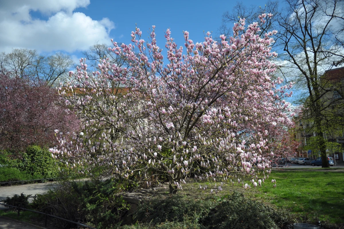 Choć wtorek w wielu miejscach kraju jest pochmurny i deszczowy, to pogoda w dalszej części tygodnia będzie wprost wyśmienita.
