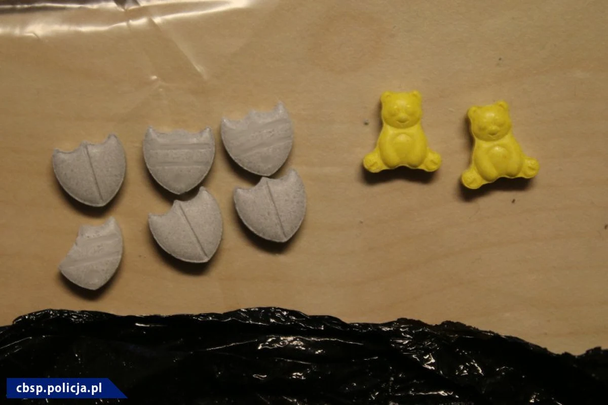 Narkotykowy rekord - ponad 6 ton środków odurzających przejęli w Holandii polscy i tamtejsi policjanci. Akcja była możliwa dzięki ustaleniom Centralnego Biura Śledczego Policji. 