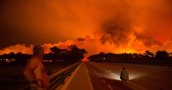 Portugalskie media ujawniły, że współwinna tragicznych pożarów z października, w których zginęło 49 osób, jest grupa przedsiębiorców z branży drzewnej. "Mafia drzewna", podpalając lasy w Portugalii, liczyła na obniżenie cen surowca do swoich zakładów.