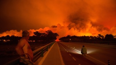 Szokujące ustalenia portugalskich mediów: "Mafia drzewna" współwinna pożarów, które zabiły 49 osób