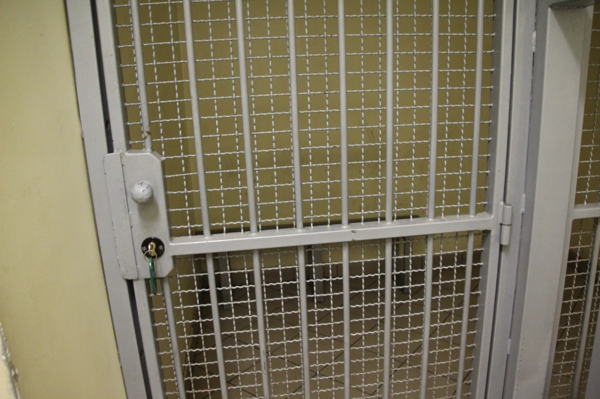 Biegłego sądowego ze stolicy, policjanta i 10 innych osób zatrzymano w śledztwie prowadzonym przez prokuraturę Regionalną w  Warszawie - dowiedział się reporter RMF FM Krzysztof Zasada. Postępowanie dotyczy wyłudzeń VAT-u zupełnie nową metodą - w obrocie folią.
