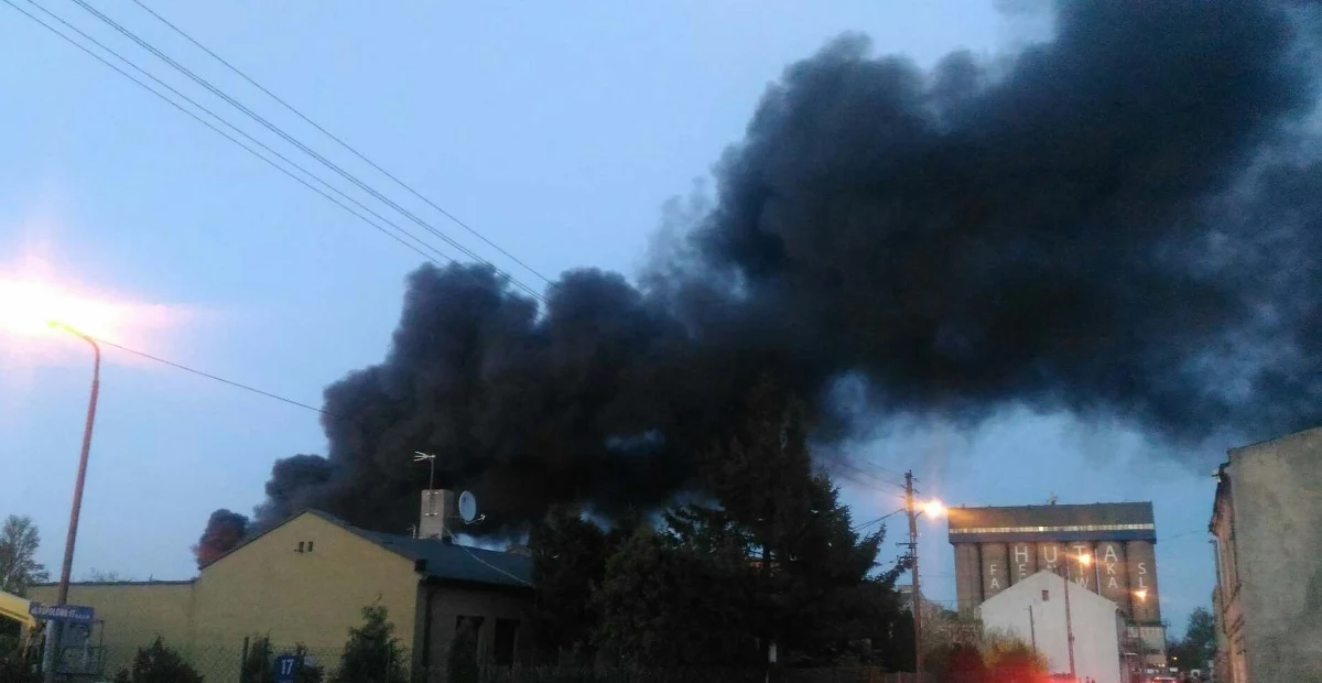 Duży pożar w Piotrkowie Trybunalskim. Przy ul. Topolowej, w pobliżu Osiedla Mickiewicza zapaliły się elektroodpady. Późnym wieczorem pożar udało się opanować, ale dogaszanie go może potrwać do rana.