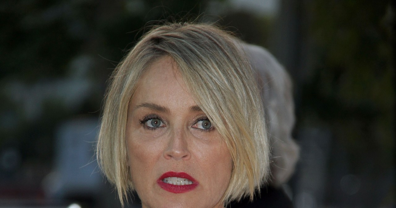 Sharon Stone: Trudna droga na szczyt! - pomponik.pl