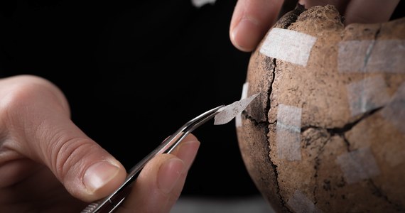 Po trzech latach prac wykopaliskowych szwedzcy archeolodzy opublikowali dowody na to, że w niewielkiej wiosce Sandby Borg w V wieku doszło do brutalnej masakry. Zabici zostali wszyscy mieszkańcy. Najprawdopodobniej padli ofiarą łowców skarbów. 