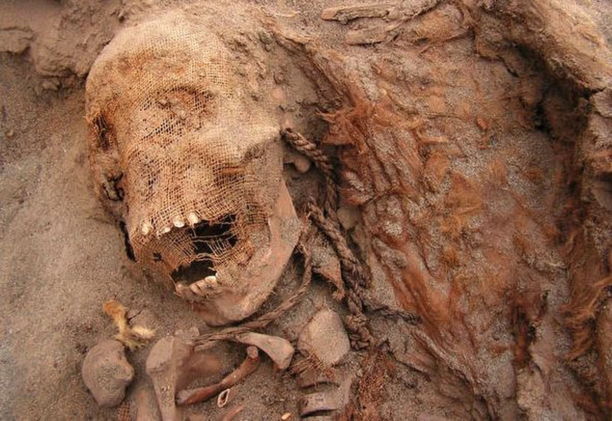 Archeolodzy odkryli prawdopodobnie największy grób masowy, w którym pochowanych zostało 140 dzieci. Zostały poświęcone w ofierze w trakcie jeden ceremonii, która odbyła się około 550 lat temu w Peru.