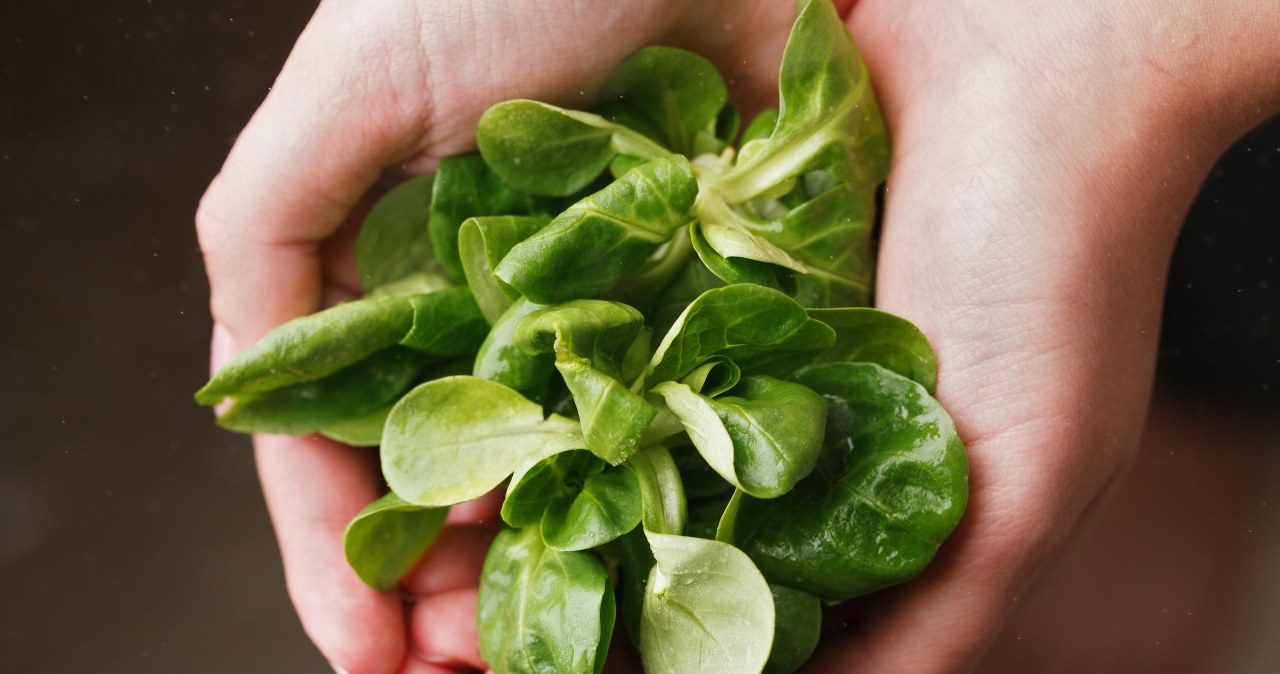 To idealny moment na wysiew tej rośliny. Świetnie wpływa na serce i wzrok