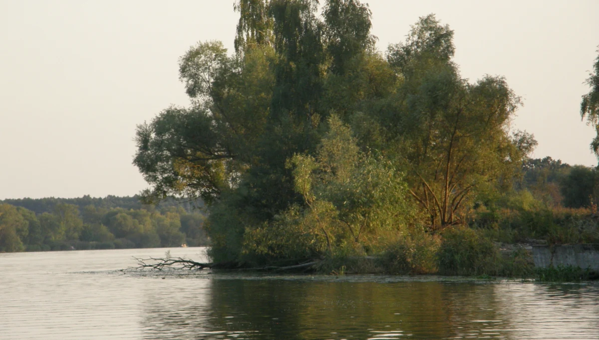 10 osób wpadło do wody po wywrotce łodzi na jeziorze Jeziorsko koło Turku w Wielkopolsce. Do wypadku - zdaniem strażaków - doszło z powodu silnego wiatru i fal.
