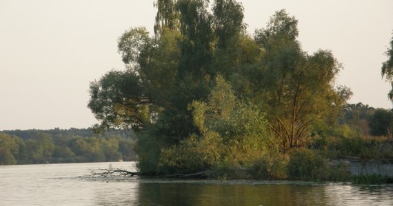 10 osób wpadło do wody po wywrotce łodzi na jeziorze Jeziorsko koło Turku w Wielkopolsce. Do wypadku - zdaniem strażaków - doszło z powodu silnego wiatru i fal.
