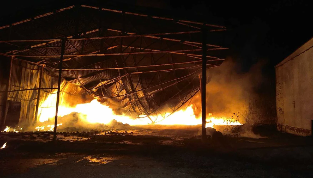 Strażacy opanowali pożar hali przy ulicy Łukasiewicza w Wołominie. W tej chwili ogień dogasza jeszcze około 50 strażaków. Informację o pożarze dostaliśmy na Gorącą Linię RMF FM. 