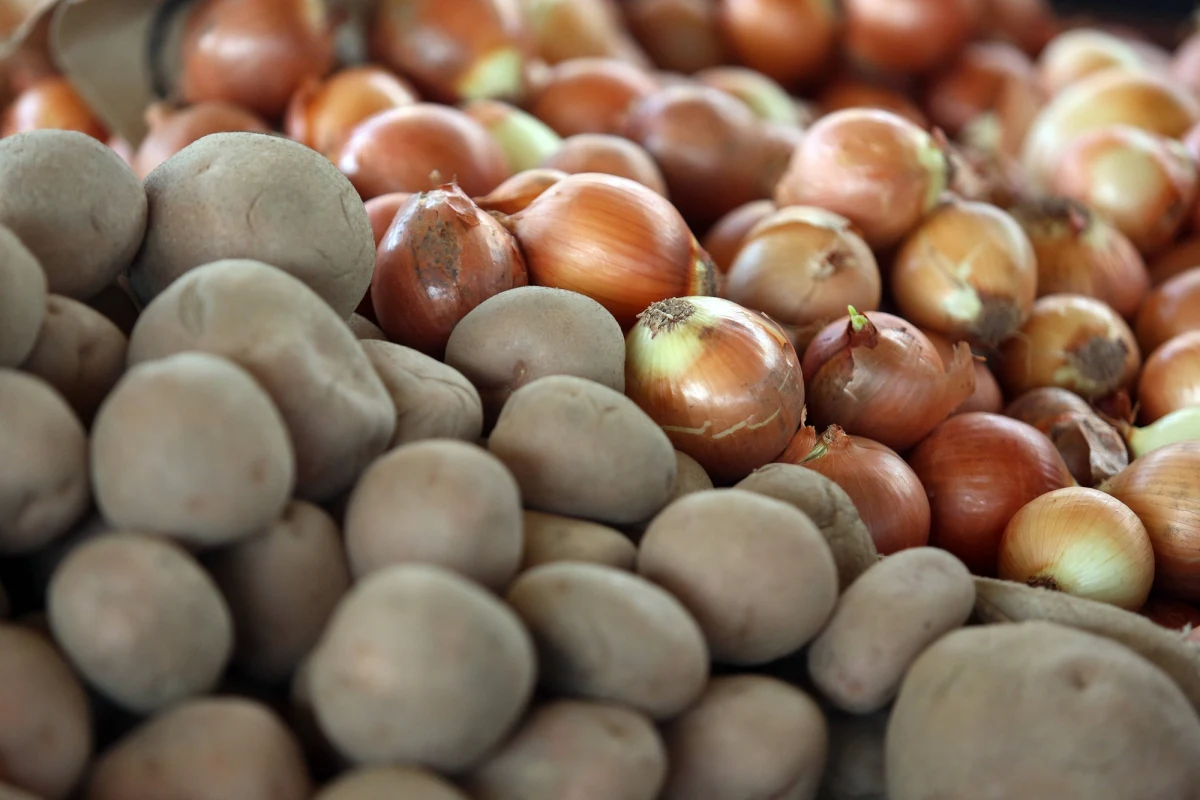 Ziemniaki będą miały oznaczenie kraju pochodzenia. Ministerstwo Rolnictwa, w odpowiedzi na postulaty producentów ziemniaków i innych warzyw, podjęło prace legislacyjne nad zmianą przepisów w tej sprawie - poinformował minister rolnictwa Krzysztof Jurgiel.