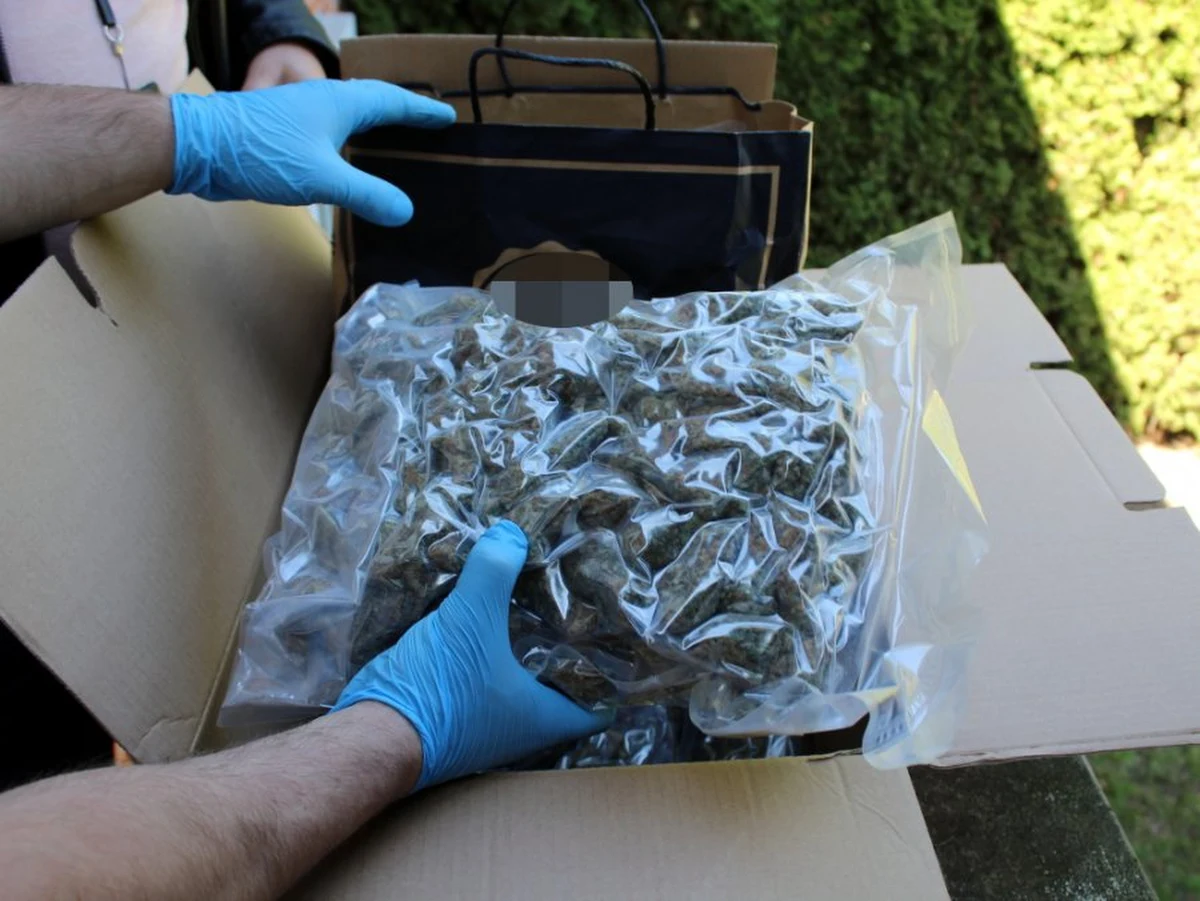 Nawet 50 tys. porcji marihuany o wartości ponad miliona złotych przejęli stołeczni policjanci z wydziału do walki z przestępczością narkotykową. W tej sprawie policja zatrzymała 55-letniego Mirosława Z. Mężczyzna został aresztowany.