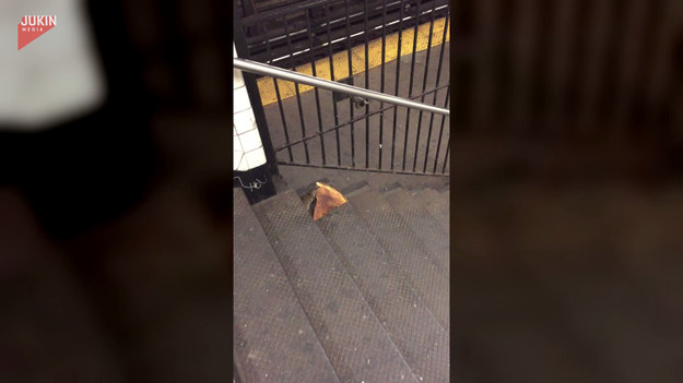 Mężczyzna idąc na metro w Nowym Jorku spotkał na swojej drodze, jak to nazwał "najbardziej nowojorski widok", czyli szczur uciekający z dużym kawałkiem pizzy. 