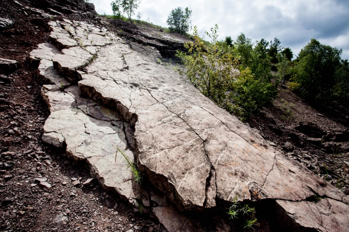 ​Wypadek na terenie dawnego kamieniołomu Sadowa Góra w Jaworznie w Śląskiem. Informację o zdarzeniu dostaliśmy na Gorącą Linię RMF FM. 
