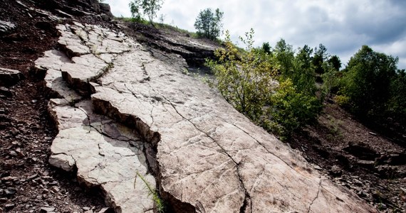 ​Wypadek na terenie dawnego kamieniołomu Sadowa Góra w Jaworznie w Śląskiem. Informację o zdarzeniu dostaliśmy na Gorącą Linię RMF FM. 