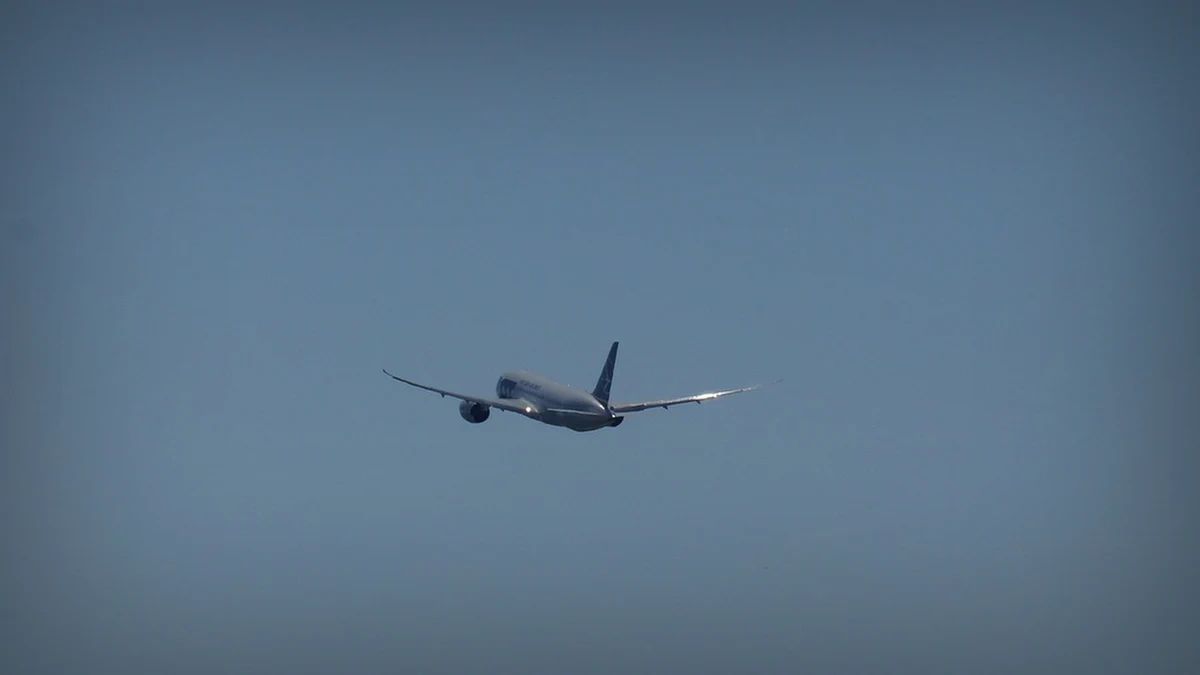 Poniedziałkowe negocjacje strajkujących pilotów flagowego belgijskiego towarzystwa lotniczego Brussels Airlines z zarządem spółki zakończyły się wieczorem bez porozumienia. Oznacza to, że we wtorek strajk będzie kontynuowany.