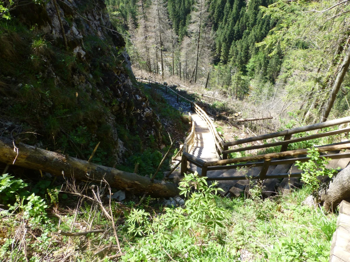 Jedyna oświetlona jaskinia w polskich Tatrach udostępniona turystom - Mroźna w Dolinie Kościeliskiej jest zamknięta. Powodem jest niebezpieczeństwo spadania i osuwania się skał na szlak zejściowy z groty. Sytuacja jest na tyle poważna, że konieczne będą specjalistyczne prace zabezpieczające na skałach powyżej Mroźnej. Na razie nie wiadomo, kiedy jaskinia będzie ponownie udostępniona. Pracownicy Tatrzańskiego Parku Narodowego mają nadzieję, że uda się ją otworzyć jeszcze przed wakacjami. 