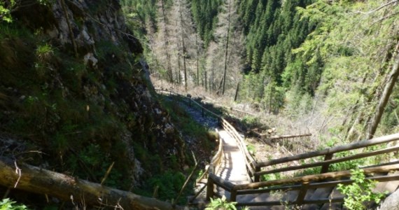 Jedyna oświetlona jaskinia w polskich Tatrach udostępniona turystom - Mroźna w Dolinie Kościeliskiej jest zamknięta. Powodem jest niebezpieczeństwo spadania i osuwania się skał na szlak zejściowy z groty. Sytuacja jest na tyle poważna, że konieczne będą specjalistyczne prace zabezpieczające na skałach powyżej Mroźnej. Na razie nie wiadomo, kiedy jaskinia będzie ponownie udostępniona. Pracownicy Tatrzańskiego Parku Narodowego mają nadzieję, że uda się ją otworzyć jeszcze przed wakacjami. 
