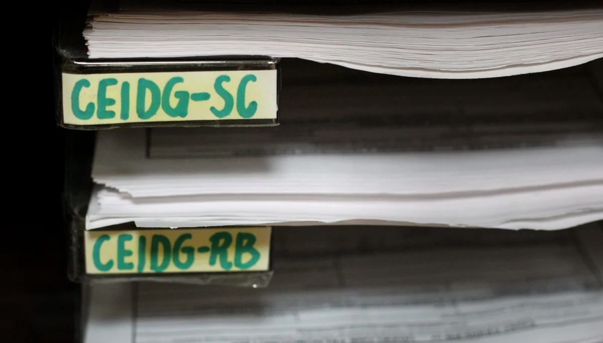 Ponad 230 tysięcy firm zostanie w tym tygodniu wykreślonych z rejestru przedsiębiorców. Rząd rusza z aktualizacją Centralnej Ewidencji i Informacji o Działalności Gospodarczej. Kto do ostatniej soboty nie zadbał o to, by w jego wpisie w CEIDG był numer PESEL, zostanie wykreślony.