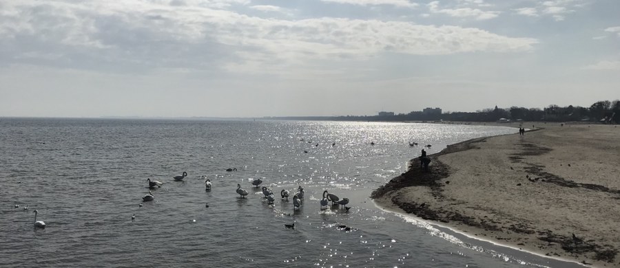 W czwartek będą znane wyniki badań kolejnych próbek wody pobranych dziś przez Sanepid na dwunastu kąpieliskach w całym Trójmieście. To działania związane z awarią przepompowni na Ołowiance w Gdańsku, której efektem był zrzut ścieków do Motławy. Dotychczasowe wyniki badań są dobre.