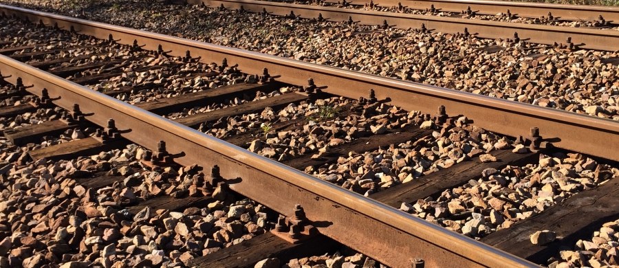 Blisko 5 godzin trwała przerwa w ruchu pociągów na uczęszczanym odcinku między Tychami a Katowicami Ligotą. Rano w pobliżu stacji Katowice Piotrowice pociąg Pendolino z Bielska-Białej do Warszawy śmiertelnie potrącił tam przechodzącą przez torowisko kobietę. Przed południem ruch przywrócono.