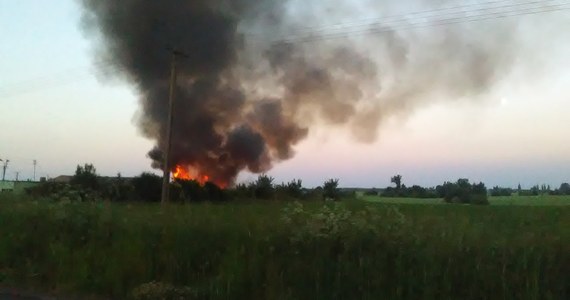 Prawie 40 zastępów straży gasi pożar nielegalnego wysypiska odpadów w miejscowości Wszedzień w Kujawsko-Pomorskiem. To kolejny taki przypadek w kraju w ostatnich dniach. Słup czarnego dymu widać już z kilkunastu kilometrów. Specjalne służby stale monitorują jakość powietrza. Prewencyjnie ewakuowano ponad 30 mieszkańców z najbliższej okolicy. Noc spędzają u rodzin.