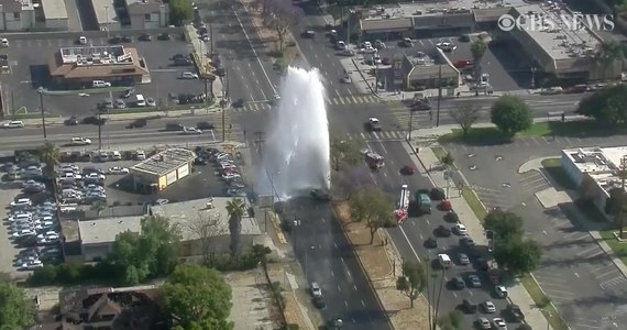 Do nietypowego wypadku doszło w Los Angeles. W wyniku kolizji uszkodzony został hydrant. W powietrze wystrzelił wysoki na kilkanaście metrów strumień wody.