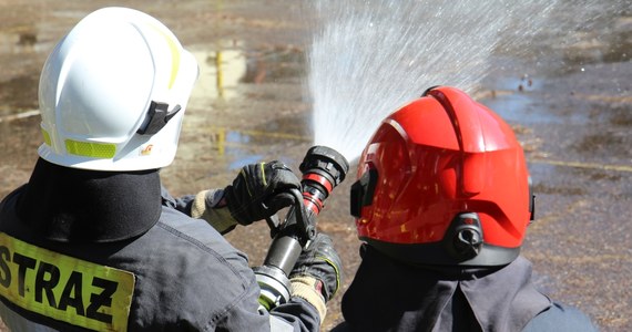 Trwa dogaszanie pożaru, który wybuchł wczoraj w zakładzie produkującym pelet drzewny w miejscowości Straszewy pod Żurominem na Mazowszu. Ogień objął obiekty o powierzchni ok. 3 tys. metrów kw. Akcja gaśnicza może jeszcze trwać nawet kilkanaście godzin. W szpitalach przebywają dwie osoby, które zostały poszkodowane w pożarze – jedna z nich doznała poparzeń ok. 70 proc. ciała. 