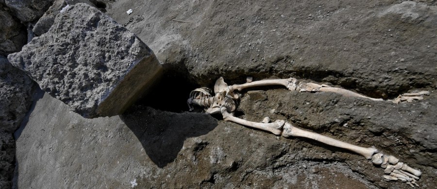 ​W Pompejach znaleziono szkielet kolejnej ofiary wybuchu Wezuwiusza w 79 roku naszej ery. Naukowcy ustalili, że był to mężczyzna w wieku około 35 lat, który nie zdołał uciec po erupcji wulkanu, bo kulał. To pierwsze takie znalezisko na terenie pozostałości starożytnego miasta, w nowym miejscu prowadzonych obecnie wykopalisk - ogłosili włoscy archeolodzy.