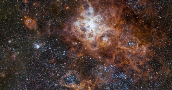 Europejskie Obserwatorium Południowe (ESO) opublikowało najnowsze, ostre jak nigdy dotąd, zdjęcie Mgławicy Tarantula, najbardziej spektakularnego obiektu w Wielkim Obłoku Magellana, galaktyce sąsiadującej z naszą Drogą Mleczną. Obraz odległego od nas o 160 tysięcy lat obszaru uzyskano z pomocą VLT Survey Telescope w Obserwatorium Paranal w Chile. Na zdjęciu poza Mgławicą Tarantula widać jeszcze szereg gromad gwiazd, świecące obłoki gazu i pozostałości po wybuchach supernowych.