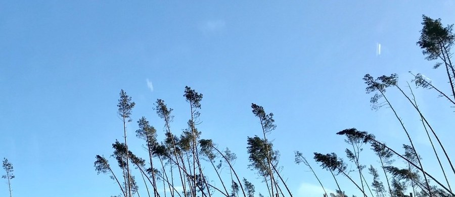 KE zaproponowała w czwartek przyznanie 12,2 mln euro na pomoc dla Polski w związku z klęską żywiołową, która dotknęła w sierpniu 2017 roku województwa kujawsko-pomorskie, pomorskie i wielkopolskie. Nawałnica zniszczyła wówczas tysiące hektarów lasów i wiele domów. "Kwota 12,2 mln euro może zostać wykorzystana na pokrycie części wydatków związanych z oczyszczeniem zniszczonych lasów, usunięciem powalonych drzew z dróg i torów kolejowych oraz na pomoc w odnowieniu uszkodzonej infrastruktury" - podała Komisja. Środki będą pochodziły z Funduszu Solidarności Unii Europejskiej (FSUE). O ich uruchomienie państwa członkowskie mogą się zwrócić do KE, by móc wesprzeć swoje długofalowe działania naprawcze po klęsce żywiołowej.