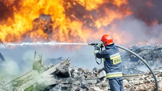 "Rząd nie chroni Polaków przed przestępczością ekologiczną". Apel do premiera 