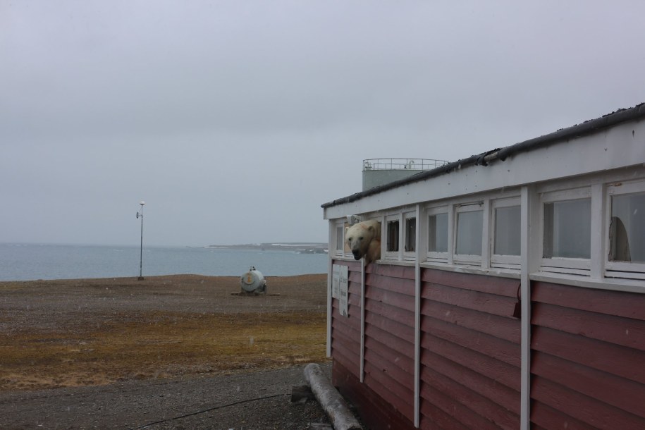 /foto. Malin Stark/Facebook /