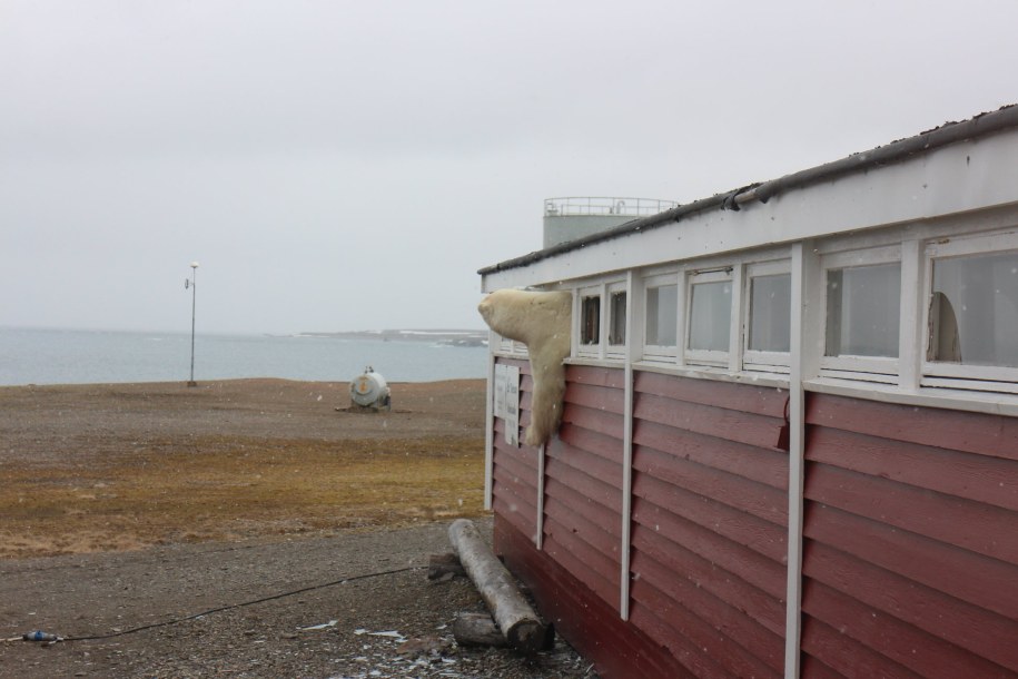 /foto. Malin Stark/Facebook /