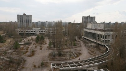 Pożar w pobliżu elektrowni w Czarnobylu. "Proszę się nie martwić"