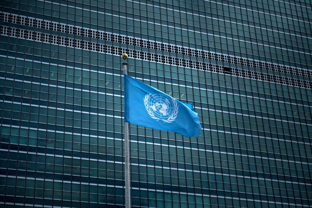 Organizacja Narodów Zjednoczonych (ONZ)