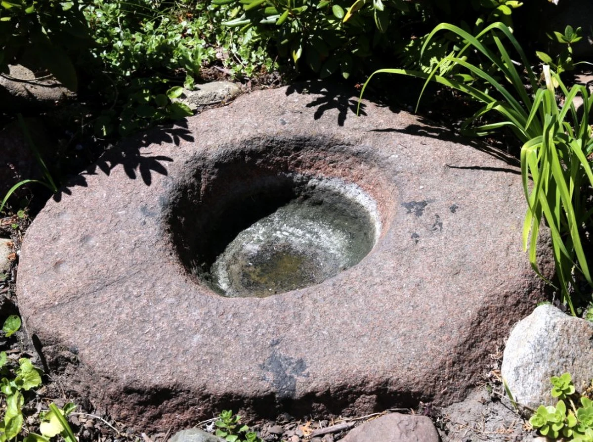 Warszawscy policjanci odzyskali zabytkową kropielnicę pochodzącą z kościoła św. Wojciecha, najstarszego kościoła na Mazowszu. Zabytek z X wieku trafił już do Muzeum Ziemi Błońskiej.