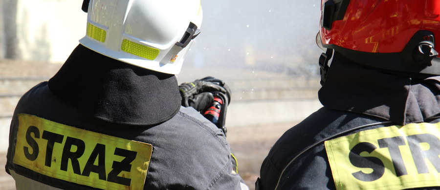 Seria pożarów na południu Mazowsza. W tej chwili strażacy w siedmiu miejscach gaszą las. 