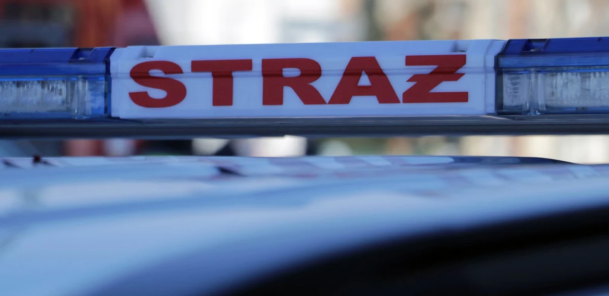 Nad ranem strażacy zakończyli gaszenie zabytkowego pałacu w Rosoczycy. Z budynku ewakuowano 31 osób. 
