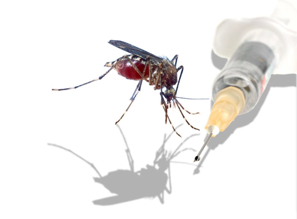 Atak tropikalnych komarów tygrysich w regionie paryskim. Władze apelują do mieszkańców, by pomogli ustalić, gdzie te groźne owady najszybciej się rozmnażają. Miejsca te będą masowo spryskiwane środkami owadobójczymi. 