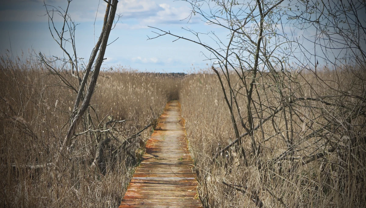We wsi Jeglia niedaleko Działdowa w Warmińsko-Mazurskiem znaleziono ciało 17-latka. Obok leżał jego brat bliźniak, który w ciężkim stanie trafił do szpitala w Olsztynie.
