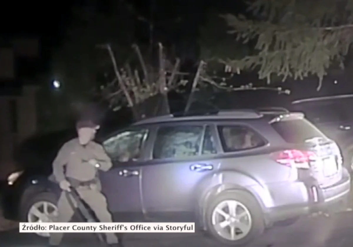 Policjanci z Kalifornii uratowali niedźwiedzia, który zatrzasnął się w samochodzie. Szeryf hrabstwa Placer opublikował nagranie z interwencji.