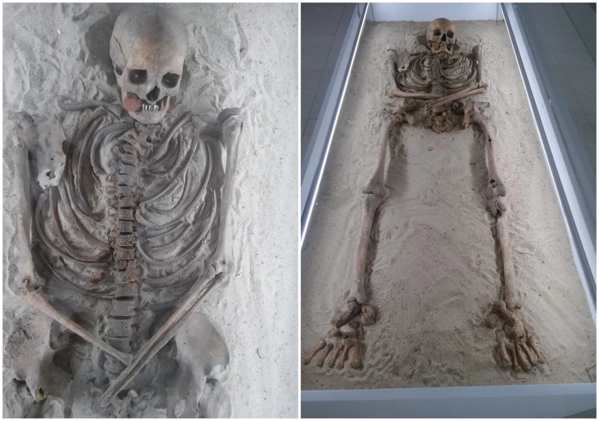 Sensacyjne było już samo znalezisko: szkielet wampira z Kamienia Pomorskiego zdobył sławę na całym świecie. Nowoczesna nauka rzuciła nowe światło na zdeformowany szkielet, z kawałkiem cegły między zębami. Dzięki bandanom DNA okazało się, że kamieński wampir był... kobietą. Prawdopodobnie była ona ofiarą procesu o czary. Zmarła w trakcie tortur. Badacze nie wykluczają jej identyfikacji. Co więcej, badacze ze Szczecina chcą też cyfrowo zrekonstruować wygląd twarzy kobiety.