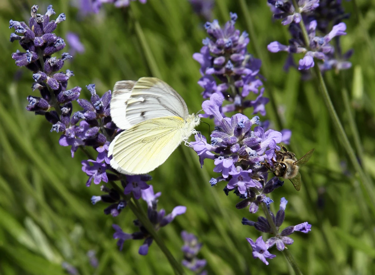 Początek tygodnia niestety nie przyniesie radykalnej zmiany pogody. Będzie nieco cieplej, niż przez weekend, jednak burze i deszcz, a miejscami nawet grad, utrzymają się co najmniej do środy.