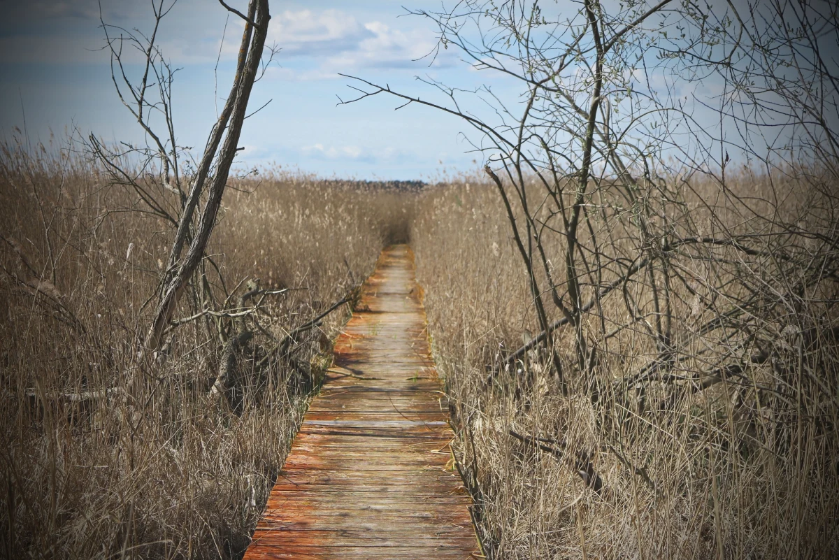 Kłute rany klatki piersiowej i krwotok były bezpośrednią przyczyną śmierci 17-latka ze wsi Jeglia niedaleko Działdowa w woj. warmińsko-mazurskim. Tak wynika z opinii biegłych. Martwego nastolatka i jego brata bliźniaka znaleziono tydzień temu przy polnej drodze.