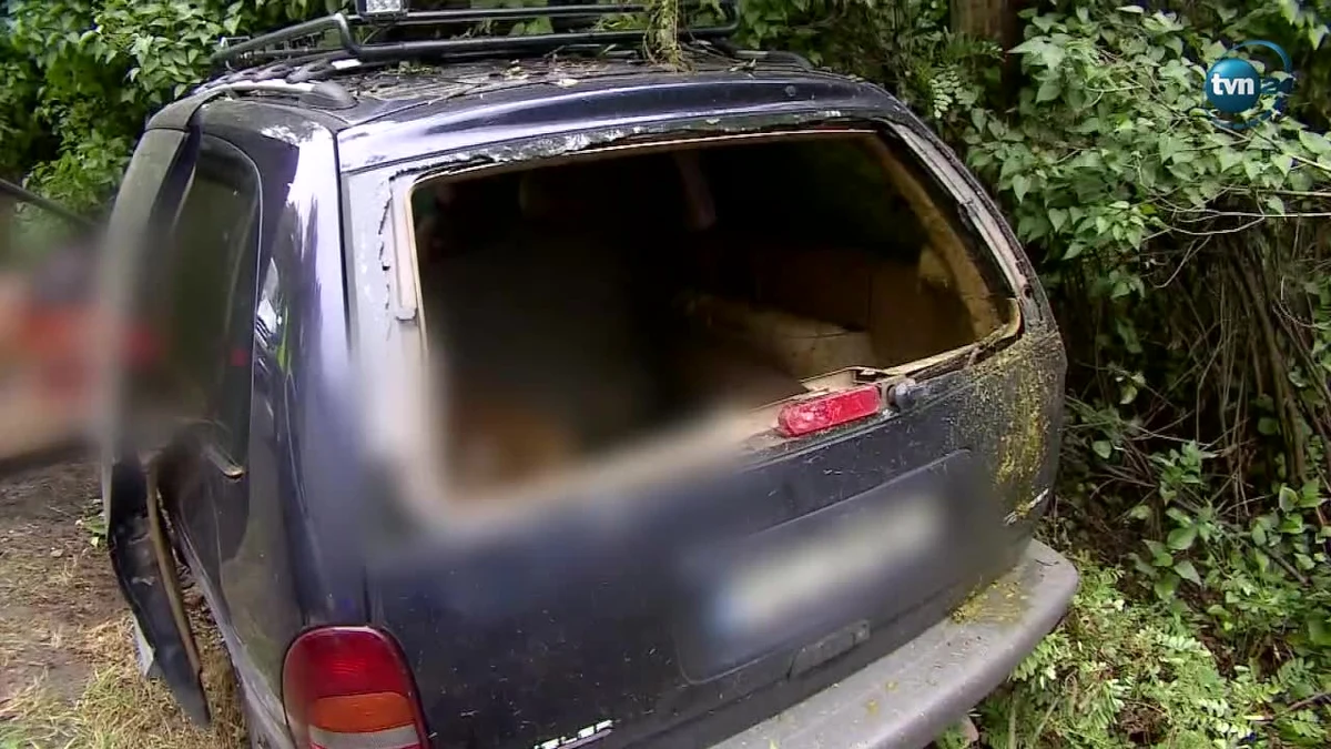 Kierowca zginął po uderzeniu w daniela, który wybiegł z lasu na wysokości Jarogniewic w woj. wielkopolskim. Zwierzę wpadło do auta przez przednią szybę. "Mężczyzna, który jechał w kierunku Leszna uderzył w przebiegającego daniela. Zwierzę wpadło do wnętrza pojazdu. W wyniku tego nieszczęśliwego zdarzenia, kierowca zginął na miejscu" - poinformował Radosław Nowak z policji w Kościanie. Daniel rozbił przednią szybę samochodu i uderzył w kierowcę. Samochód zjechał do rowu i uderzył w drzewa.