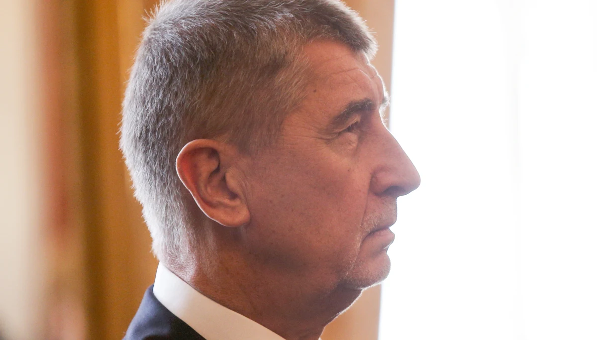 Prezydent Czech Milosz Zeman mianował koalicyjny rząd premiera Andreja Babisza. Mniejszościowy gabinet tworzą centroprawicowy ruch ANO Babisza i Czeska Partia Socjaldemokratyczna (CzSSD) Jana Hamaczka, który otrzymał dwie teki - szefa MSW i MSZ. 