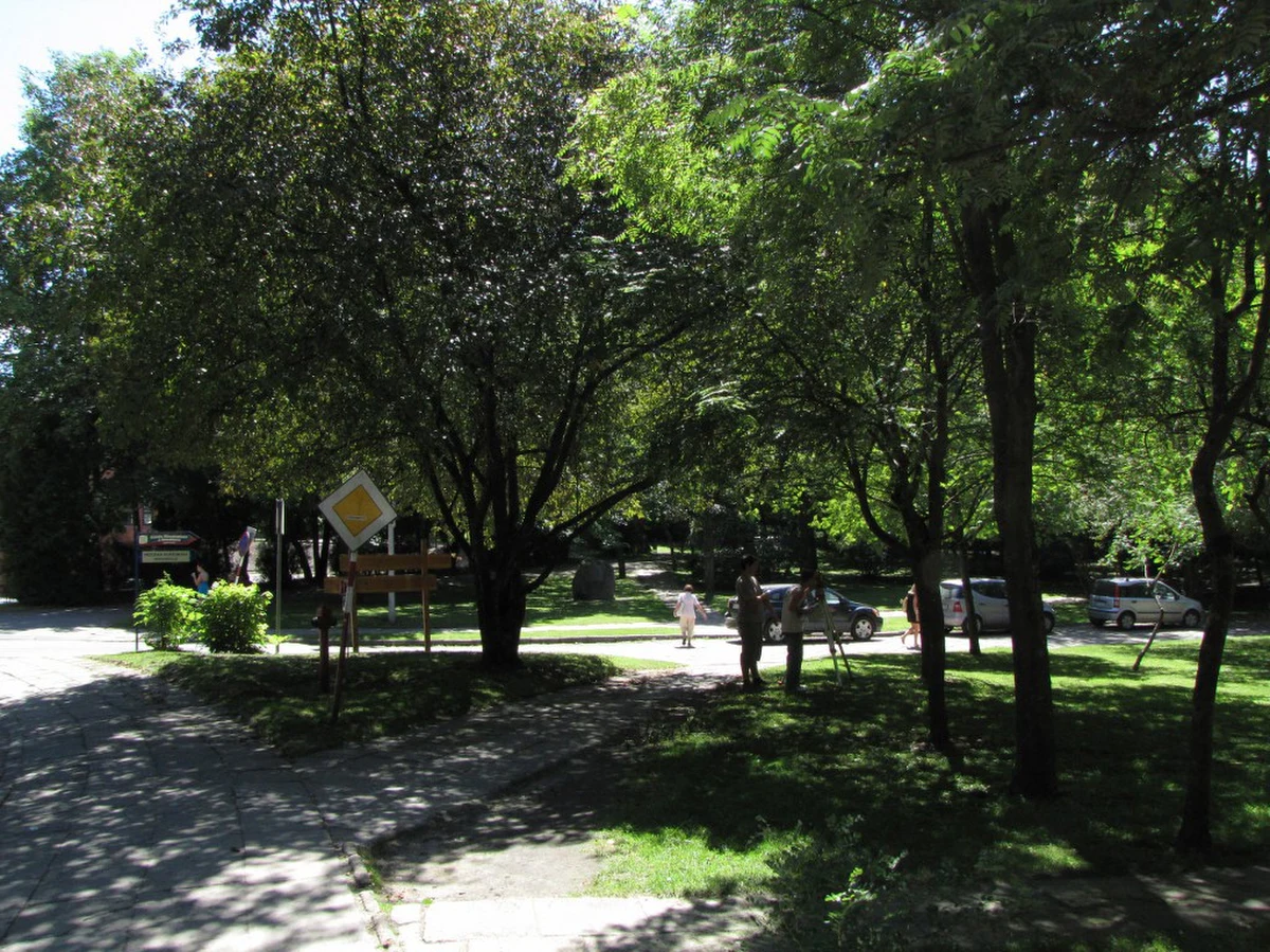 Przed trującą pułapką ostrzegają właścicieli czworonogów władze Świnoujścia. Po zjedzeniu rozrzuconej w parku Chopina wędliny, zdechły dwa psy. Trwają poszukiwania truciciela.