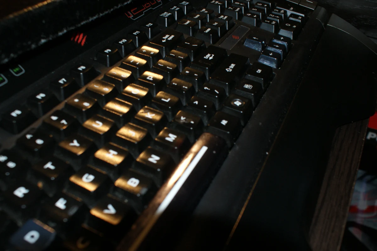 ​Wikipedia została wyłączona w środę nie tylko w Polsce; nie działa również w co najmniej dwóch innych europejskich krajach - w Hiszpanii i we Włoszech. Jest to protest przeciw nowej unijnej dyrektywie o ochronie praw autorskich na jednolitym rynku cyfrowym.