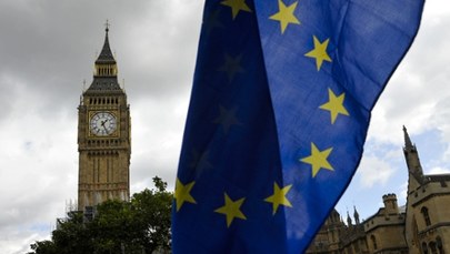 Brytyjski rząd chce wspólnego rynku dóbr i partnerstwa celnego z UE
